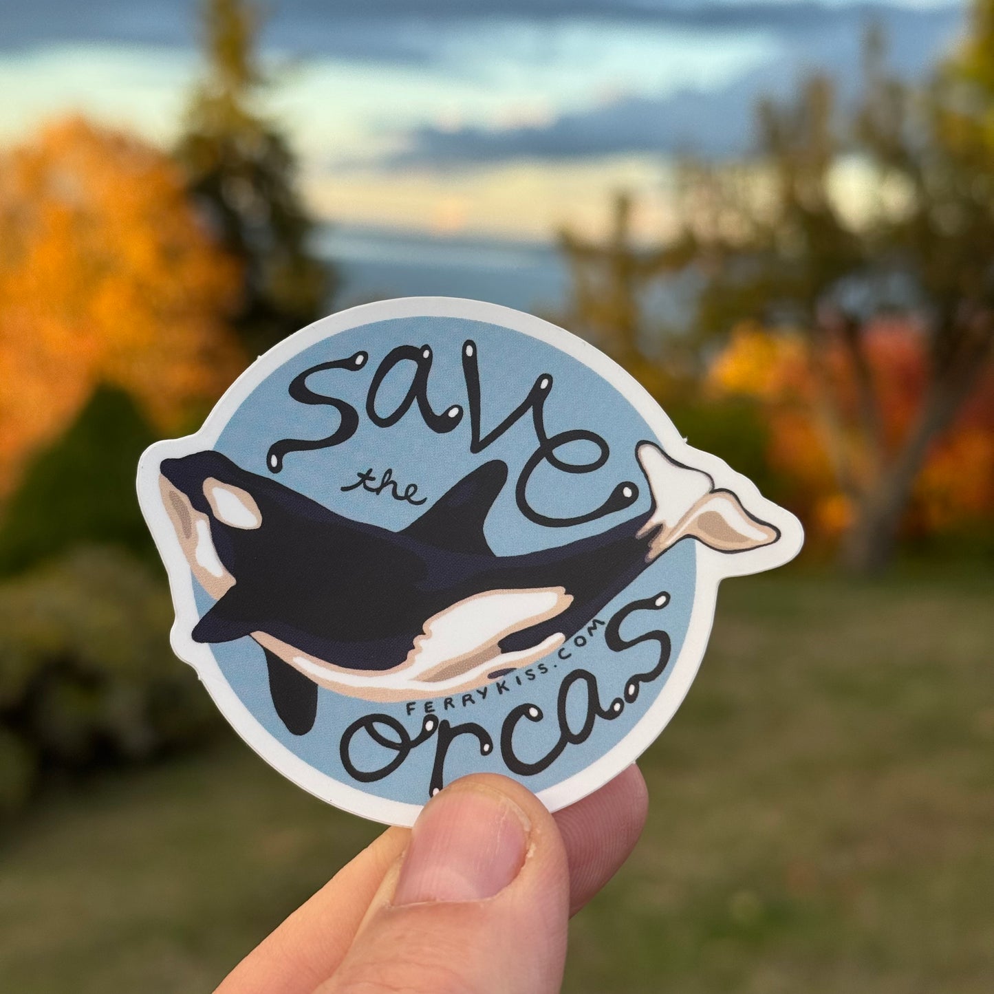 'Save the Orcas' Sticker