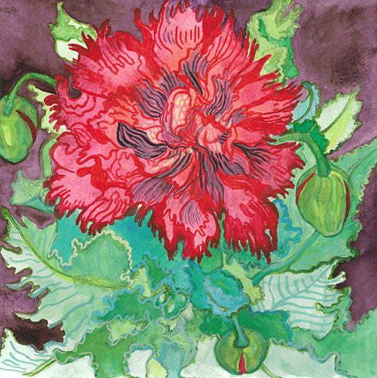 'Poppy' | Giclée Print