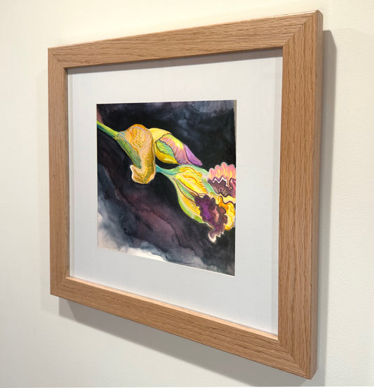 'Fallen Iris' Framed Original Painting