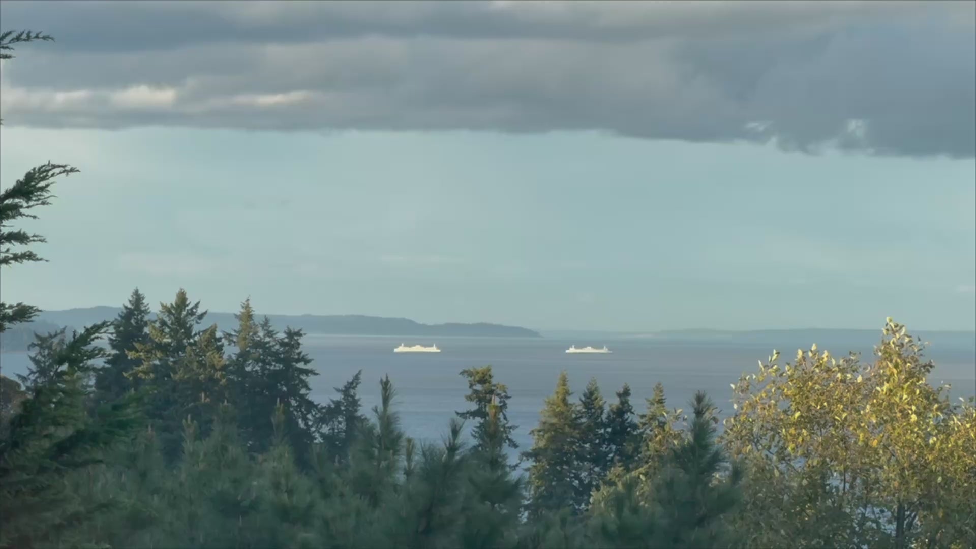 Load video: Ferry Kiss Studio’s story of how it got its name.